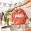 Special offer on 2022 autumn and winter new children's clothing, fleece hoodies, cartoon boys' and girls' hooded long-sleeved tops at street stalls for export Application Scenario